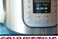 Speed vs. Simmer: Choosing Your Perfect Kitchen Companion