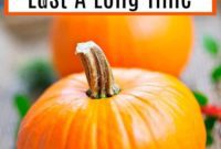 Make Your Porch Pumpkins Last Longer
