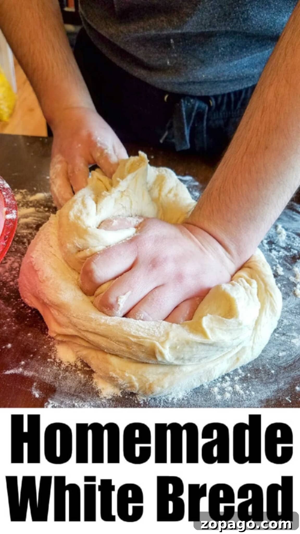 featured 64586 1