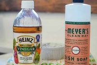 Naturally Eliminate Gnats For Good