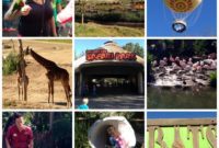Safari Park Wildlife Review