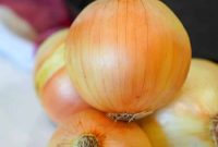 The Right Onion for Every Dish