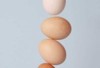 A World of Eggs