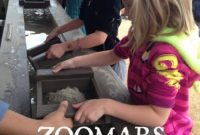 Zoomars Petting Zoo: What We Thought
