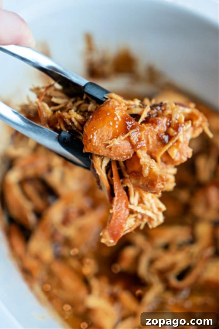 Close-up of succulent slow-cooked chicken thighs, covered in sauce.