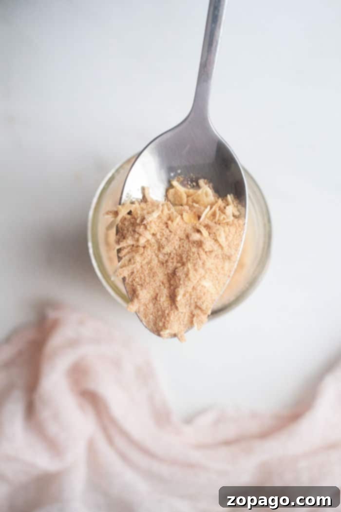 Homemade Lipton French Onion Soup Mix 2 Copycat Lipton French Onion Soup Mix