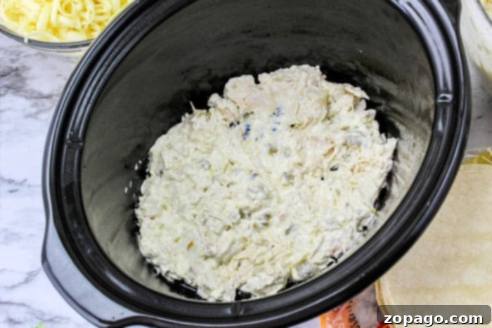 Set-It-and-Forget-It Chicken Enchiladas 6 Slow Cooker chicken recipe