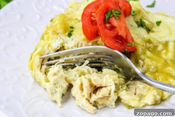 Set-It-and-Forget-It Chicken Enchiladas 7 Slow Cooker enchiladas