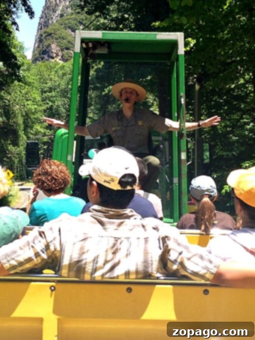 Things to do in Yosemite with kids this Summer! We had a great time river rafting, hiking, going on a tour and just discovering this great National Park in California. #yosemite #yosemitenationalpark #review #familytravel #roadtrip #travel #travelingwithkids easy things to do in yosemite