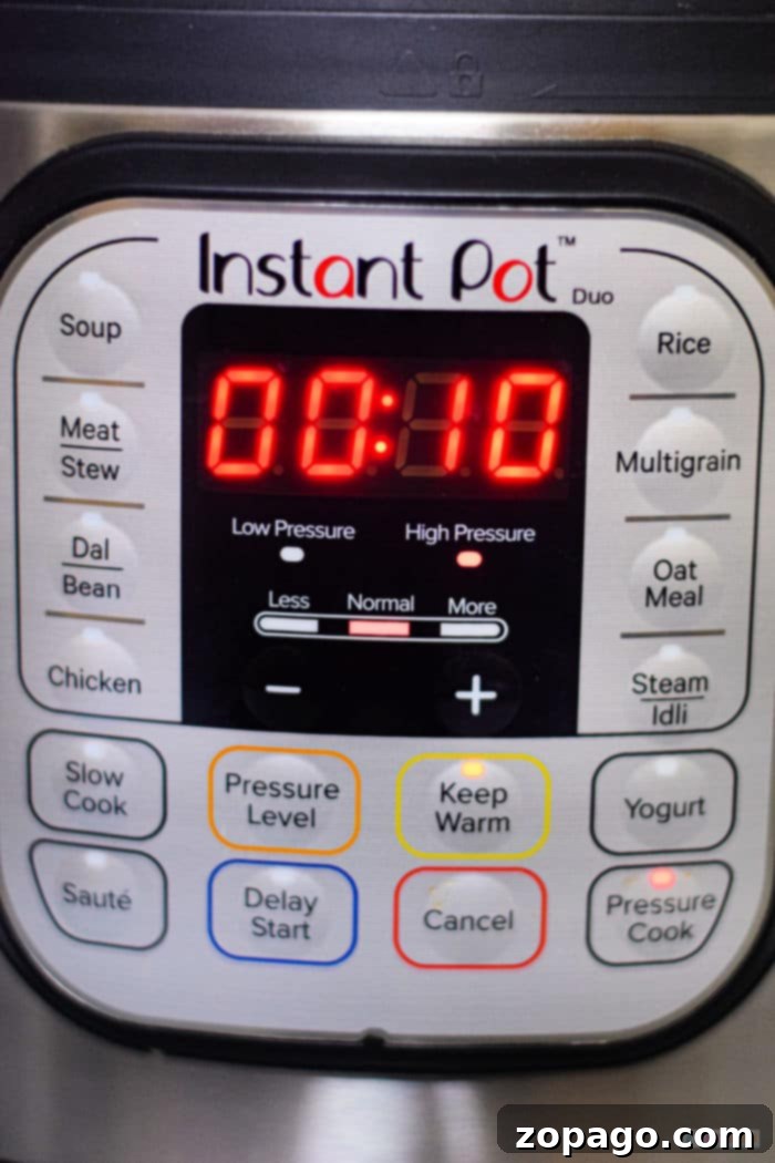 Effortless Instant Pot Chicken Wings 4 instant Pot