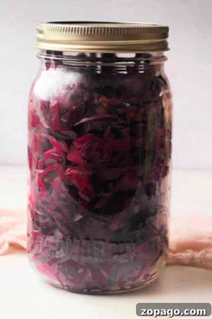 Tangy Red Cabbage Slaw 2 A jar of vibrant purple quick pickled red cabbage with a metal lid, ready to be enjoyed as a tangy side dish or fermented into sauerkraut.