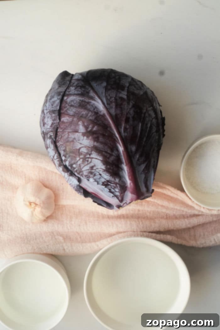 Tangy Red Cabbage Slaw 3 A close-up of delicious quick pickled red cabbage, showcasing its vibrant purple hue and tangy appeal.