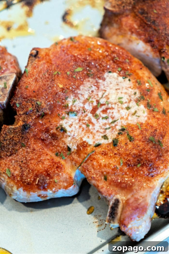 Unforgettable Homemade BBQ Rub 6 best thick pork chop recipe