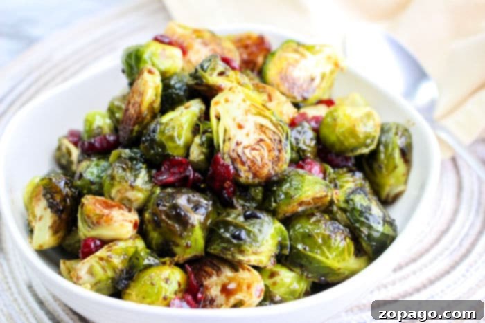 Best Ways to Prepare Frozen Brussel Sprouts 6 Brussel Sprouts and balsamic