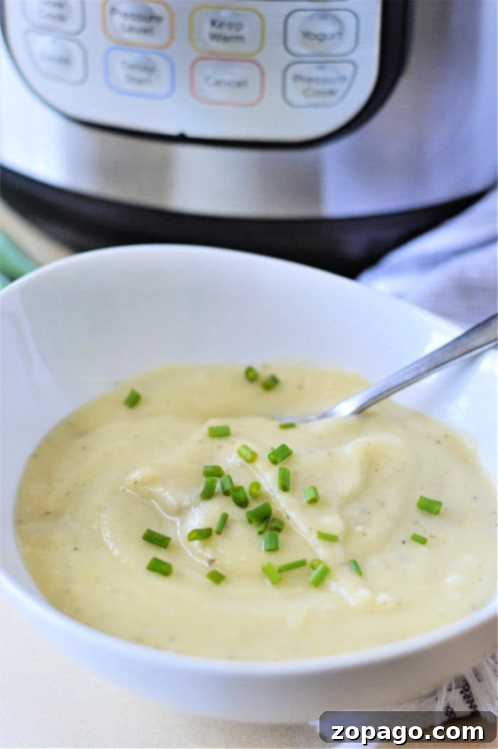 Creamy Instant Pot Potato Leek Soup 7 Ninja Foodi Potato Leek Soup