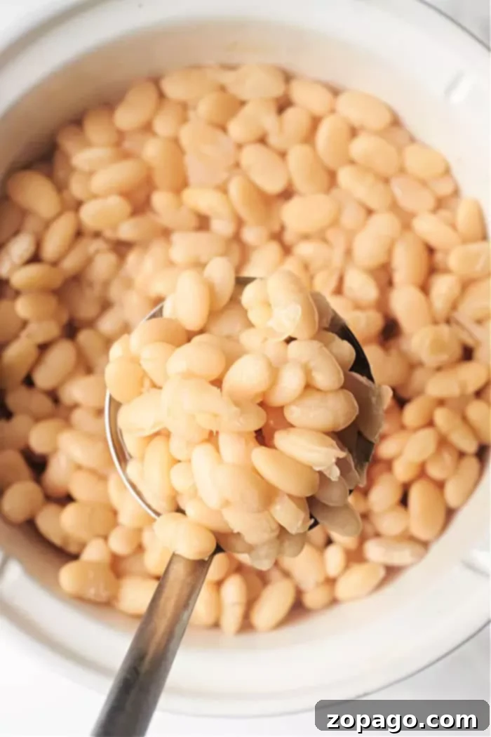 A close-up view of a metal ladle filled with plump, cooked Great Northern beans over a pot. The beans are tender and lightly coated with a savory liquid, ready to be served.