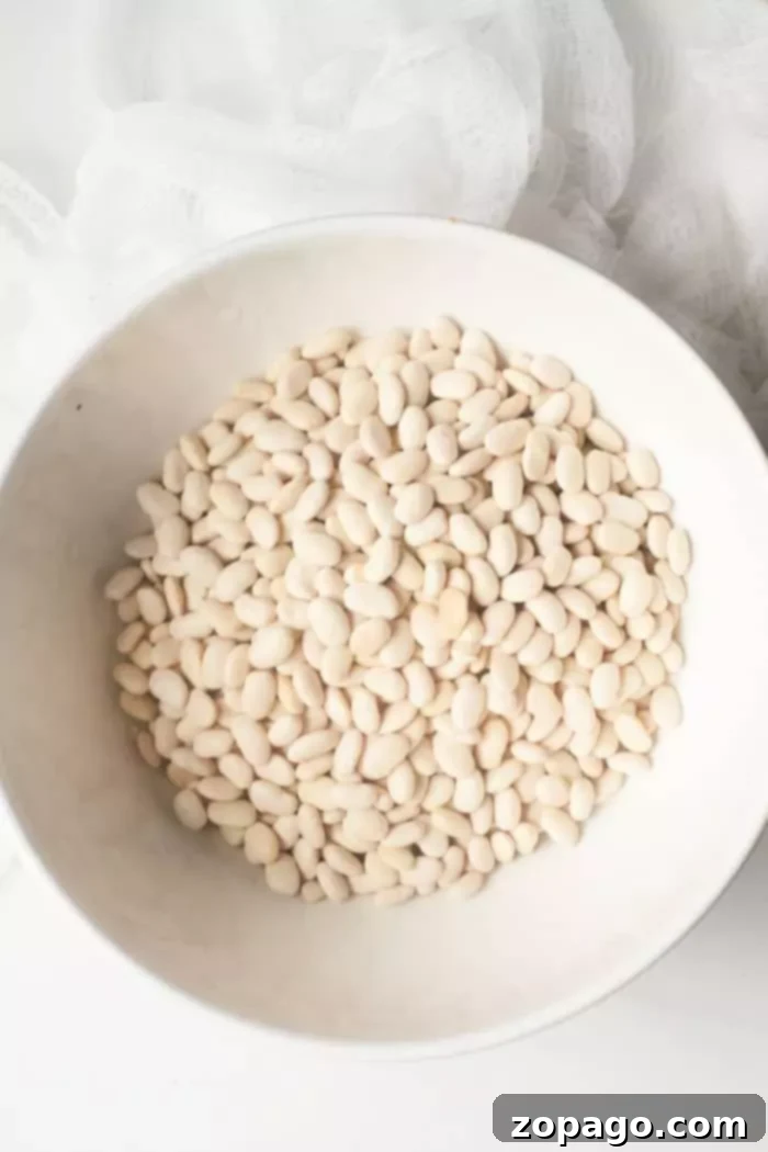 A crisp white bowl filled with dried, uncooked Great Northern beans rests on a light-colored surface, showcasing their pristine condition before preparation.