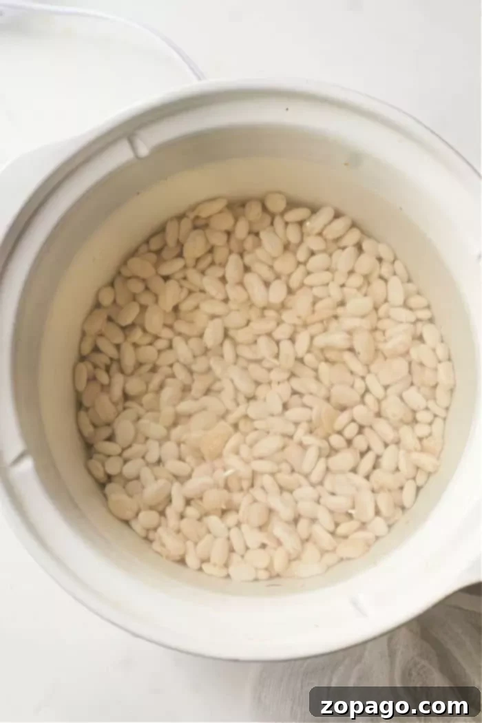 A round white bowl filled with Great Northern beans and water, seen from a top-down perspective, highlighting the soaking process for preparing dried legumes.