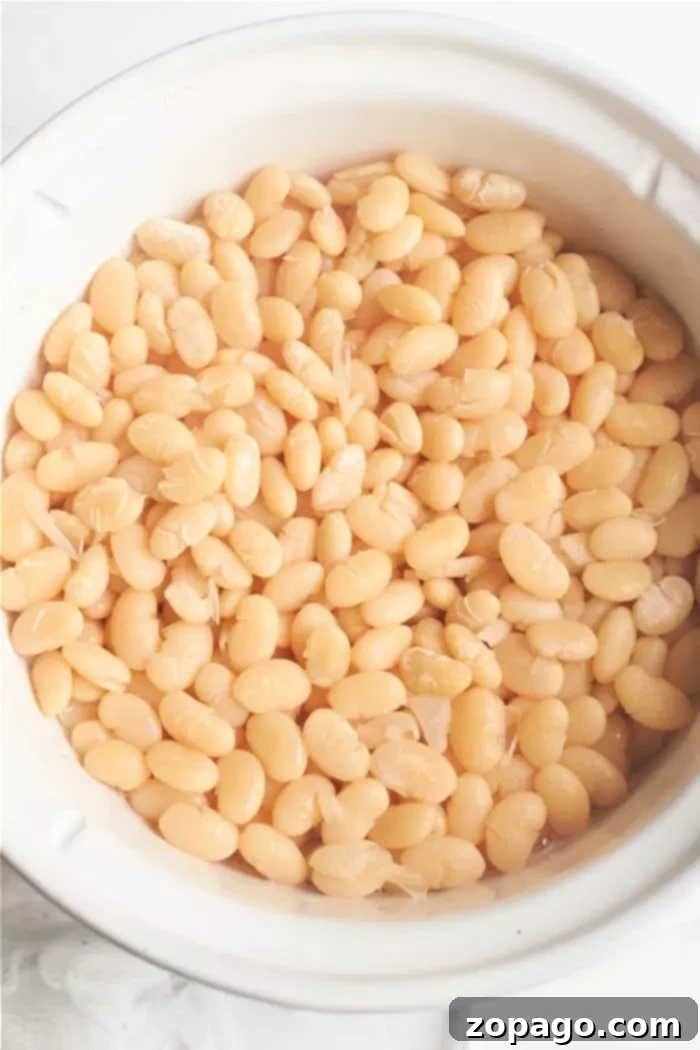 A crisp white bowl overflowing with numerous cooked Great Northern beans, showcasing their plump and tender texture.