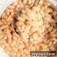 A spoonful of tender Great Northern beans crowns a bowl brimming with these perfectly cooked legumes. Discover how to cook them to velvety perfection and enhance your favorite dishes.