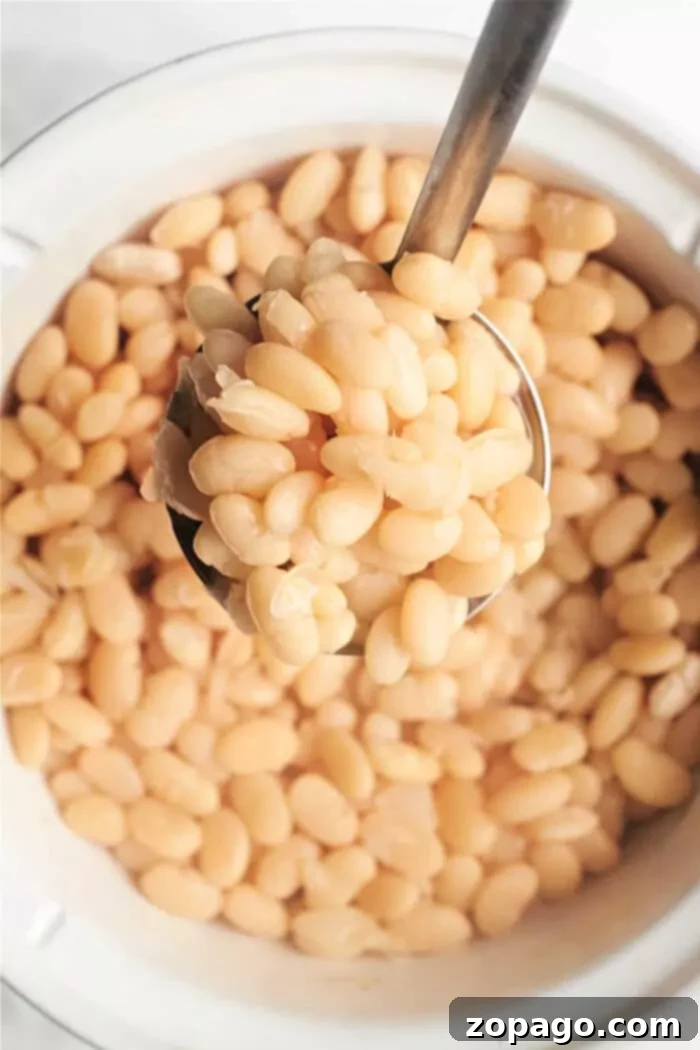 A ladle holding cooked navy beans is being lifted from a pot filled with more cooked beans. The beans are light beige in color and appear soft and tender, similar to perfectly cooked Great Northern beans. The ladle is metal with a a long handle.