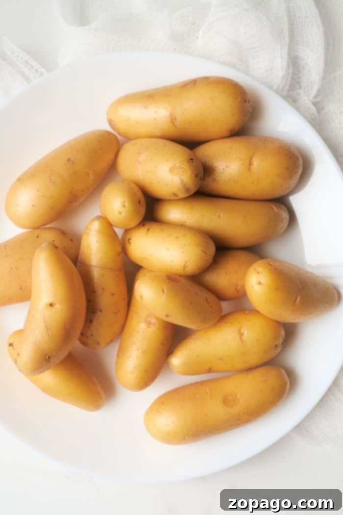 Fingerling Potatoes