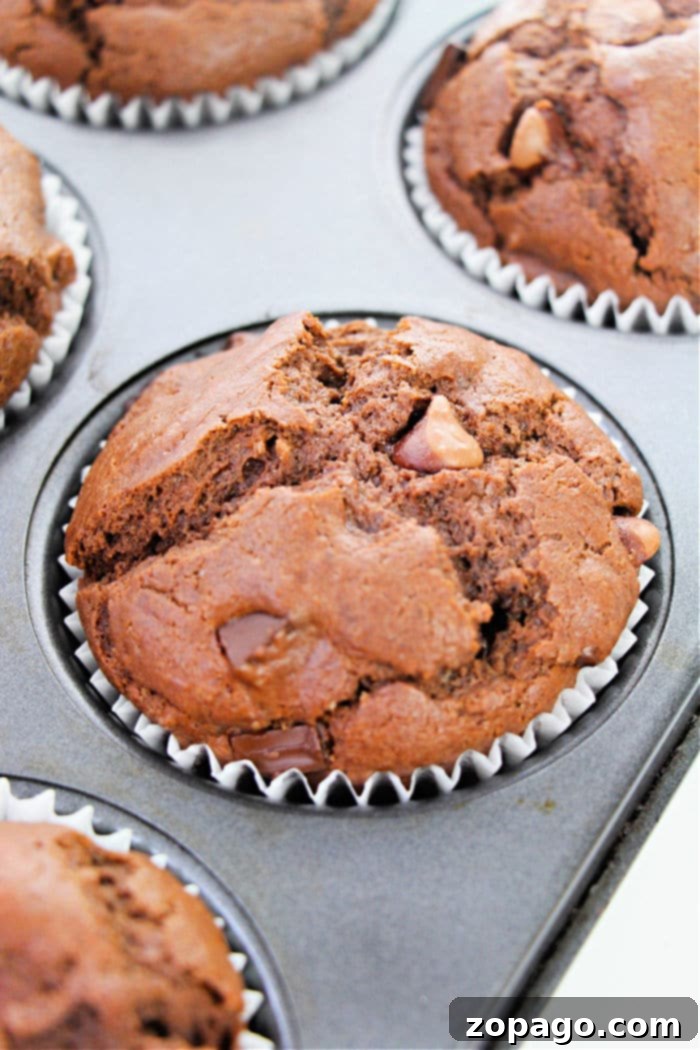 Homemade Giant Costco Chocolate Muffins 5 Rich double chocolate muffin batter in a jumbo muffin tin, ready for baking.