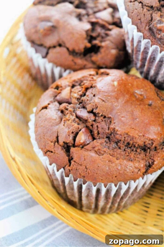 Homemade Giant Costco Chocolate Muffins 8 A final shot of a delicious copycat Costco chocolate muffin, ready for enjoyment.