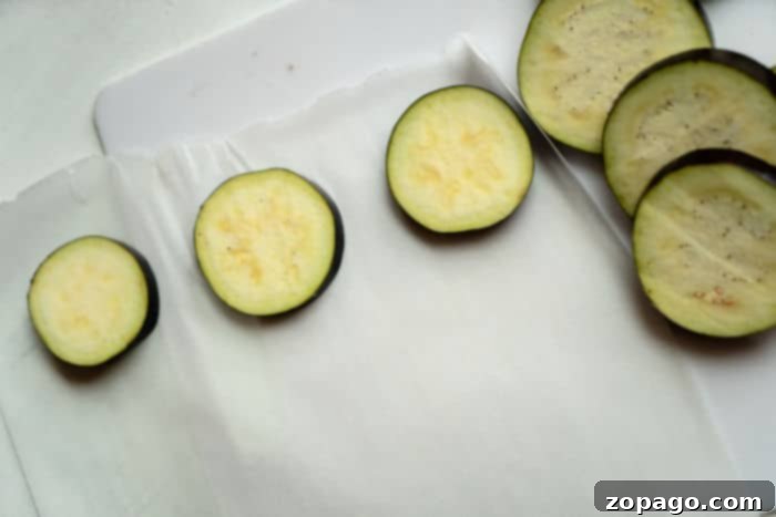 Preserve Your Eggplant: Freezing Made Easy 3 freezing eggplant