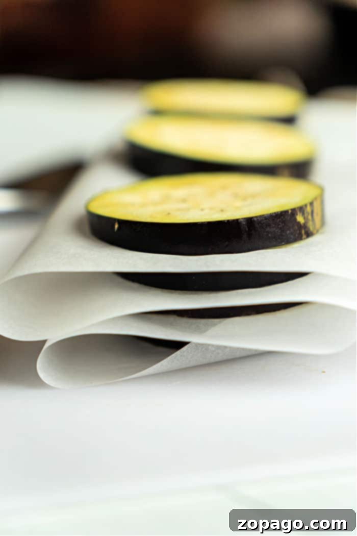 Preserve Your Eggplant: Freezing Made Easy 5 can I freeze eggplant