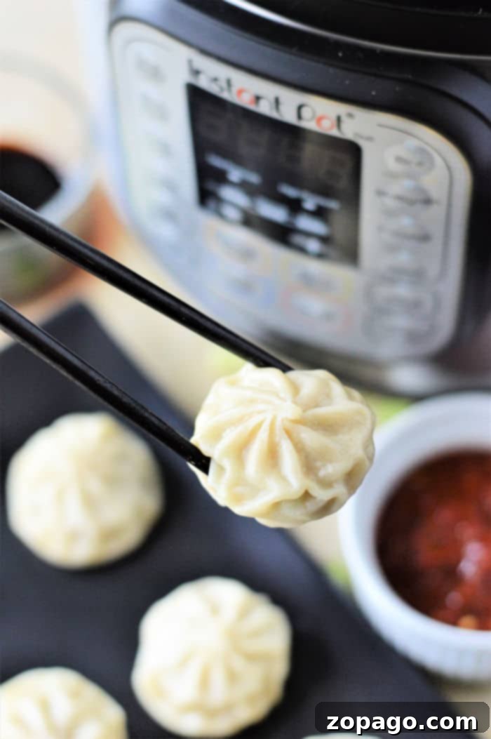 Cook Frozen Dumplings Like a Pro 2 Instant Pot Frozen Dumplings, perfectly steamed and ready to eat with a side of dipping sauce.