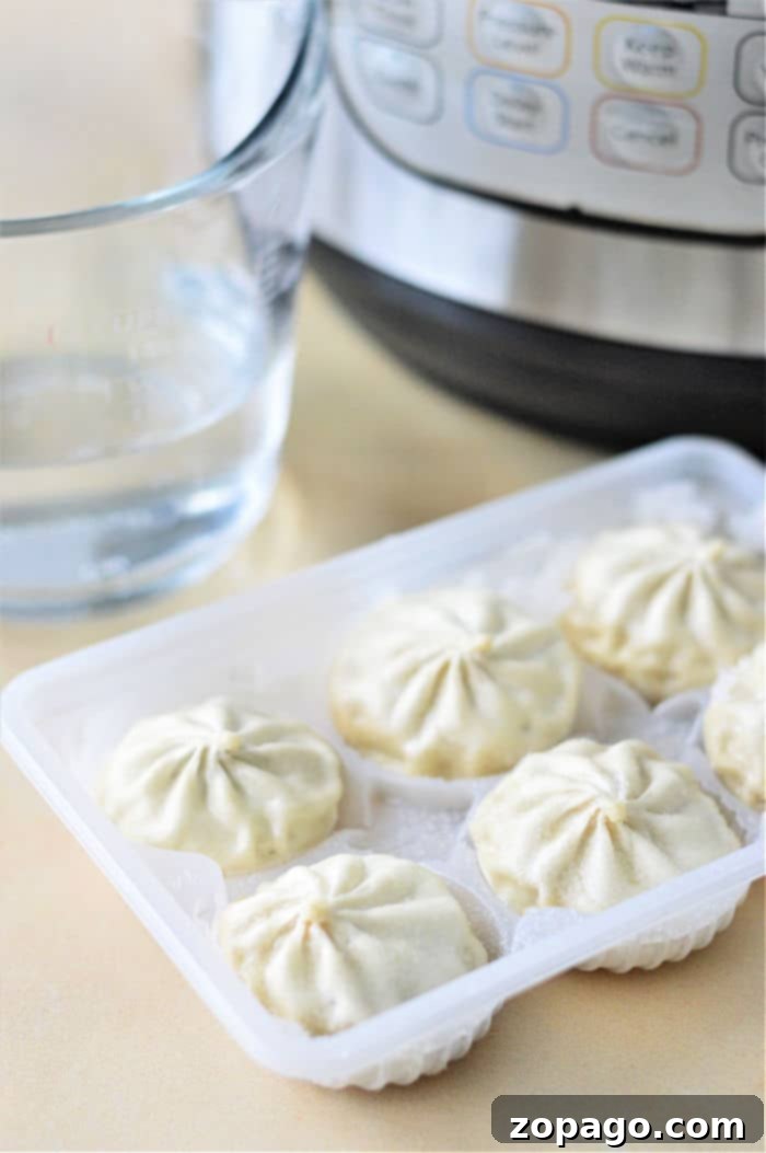 How to Cook Frozen Dumplings: A plate of perfectly cooked frozen dumplings.