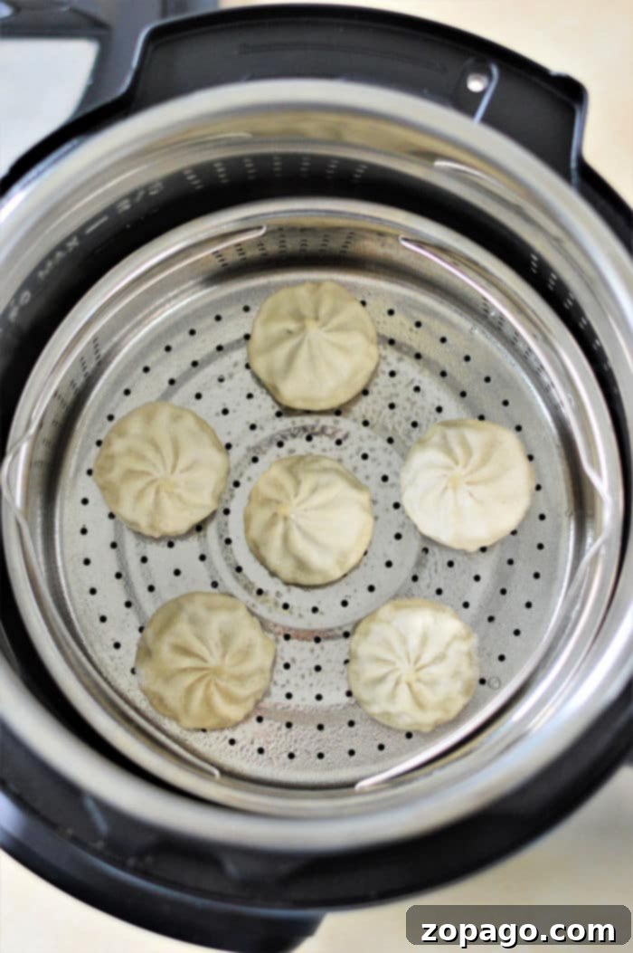 Cook Frozen Dumplings Like a Pro 4 Six frozen dumplings steaming gently in a stainless steel basket inside an Instant Pot, captured in the process of cooking to perfection.