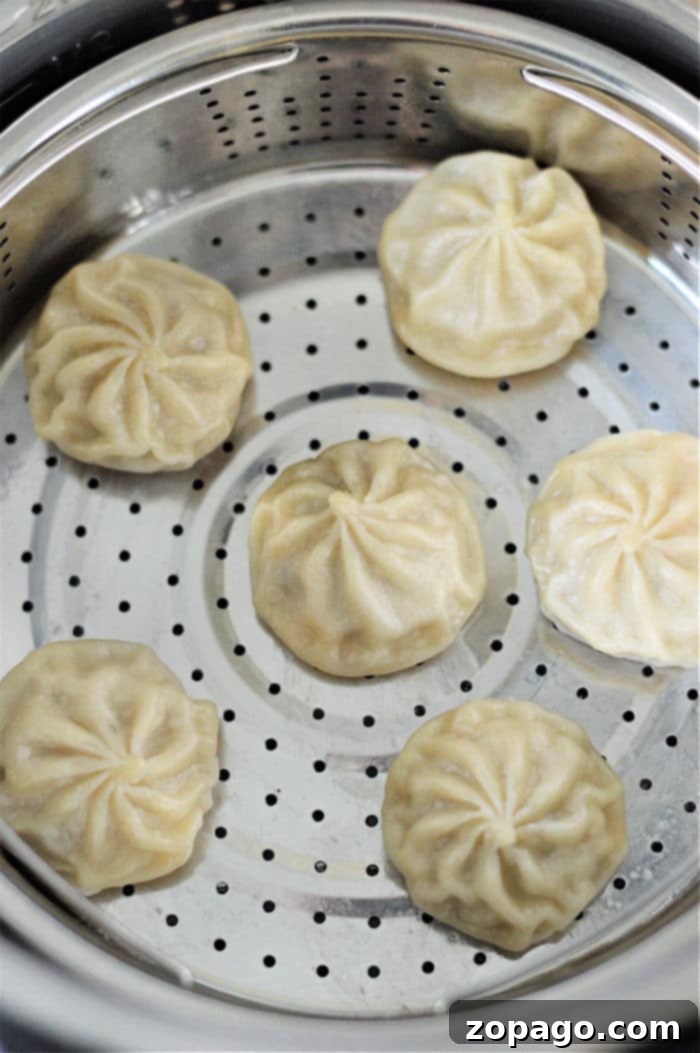 Cook Frozen Dumplings Like a Pro 5 Steamed dumplings carefully arranged in a pressure cooker basket, glistening and ready for serving.