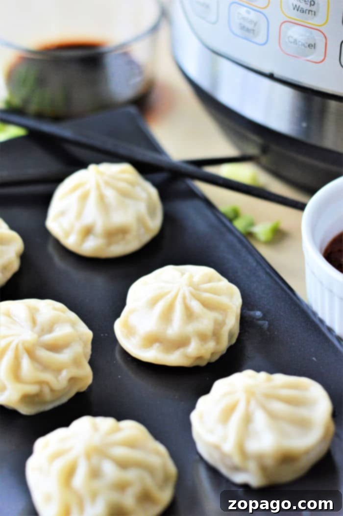Cook Frozen Dumplings Like a Pro 8 Close-up photograph of perfectly cooked instant pot dumplings, showcasing their tender texture and inviting appearance.