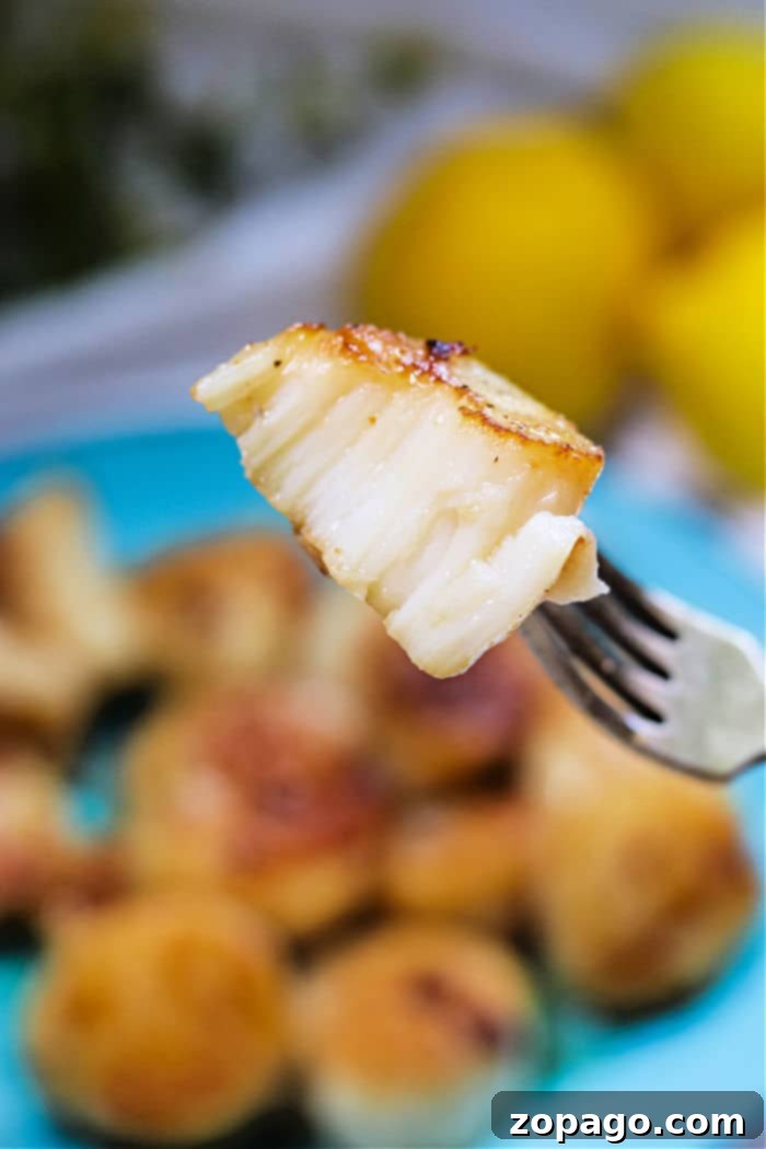 Cooking Frozen Scallops Like a Pro 2 Best way to cook frozen scallops for a tender and delicious seafood meal.