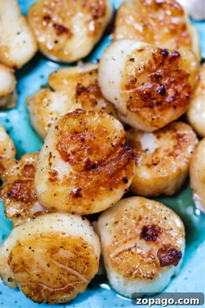 Cooking Frozen Scallops Like a Pro 6 Perfectly cooked frozen scallops, golden brown and tender.