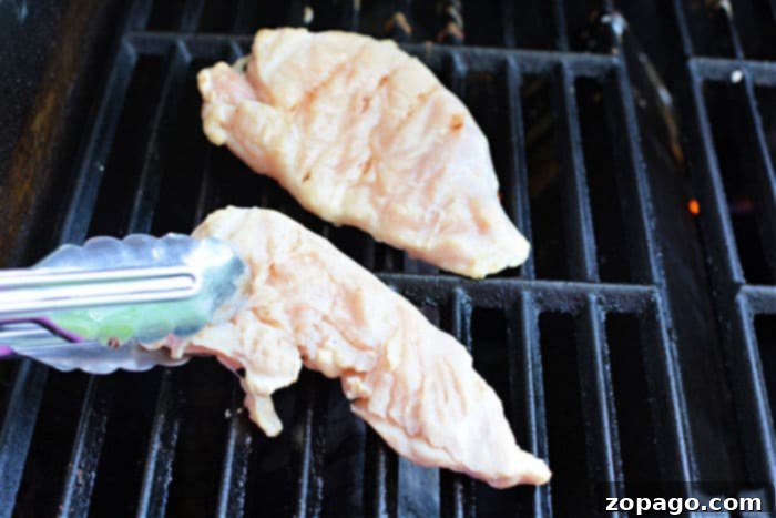 Perfecting Frozen Grilled Chicken Breast 5 Frozen Grilled Chicken