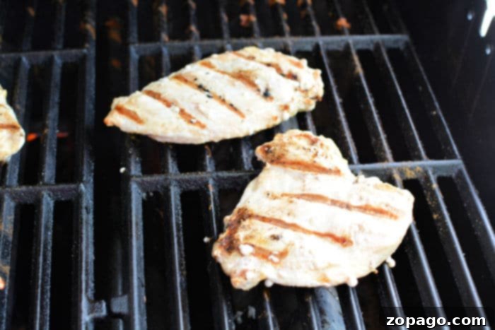 Perfecting Frozen Grilled Chicken Breast 6 How to Cook Frozen Chicken on the Barbecue