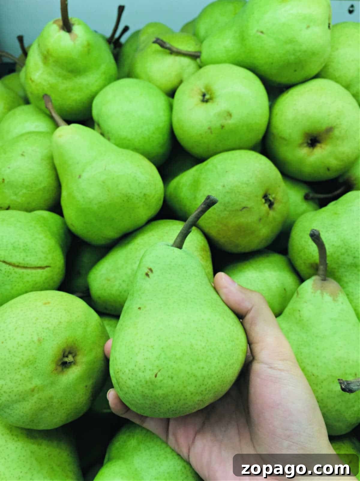 Perfect Pear Slices Every Time 2 How to cut a pear into cubes for various recipes
