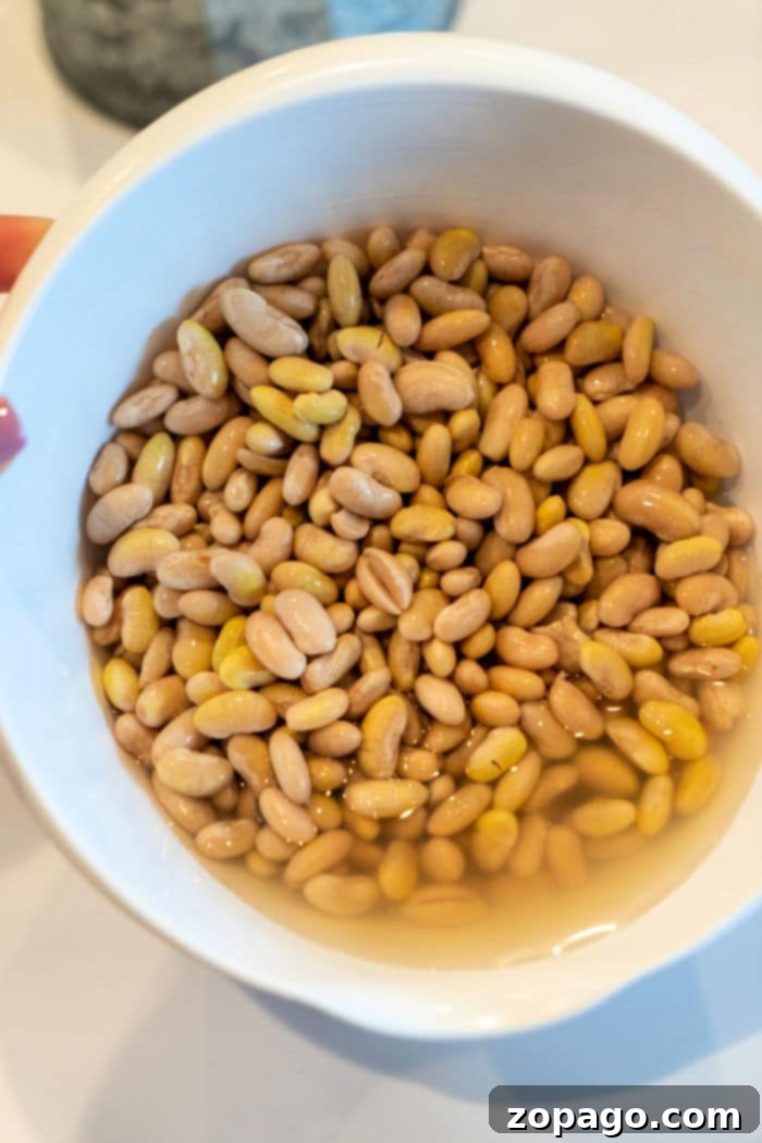Creamy Mayocoba Beans 5 how long to soak beans