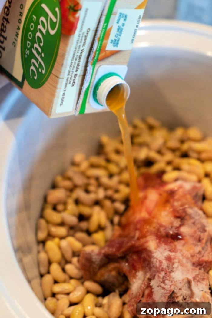Creamy Mayocoba Beans 6 What are Mayocoba Beans