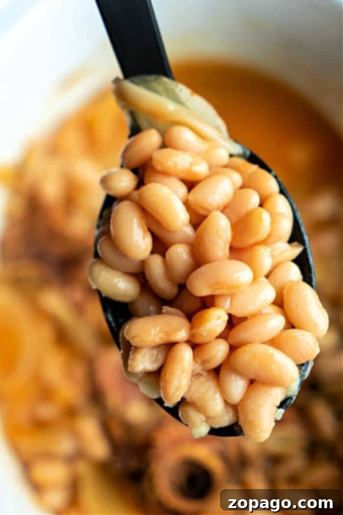 Creamy Mayocoba Beans 8 how to cook mayocoba beans