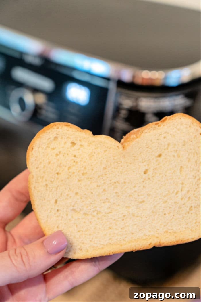 Air Fryer Toast