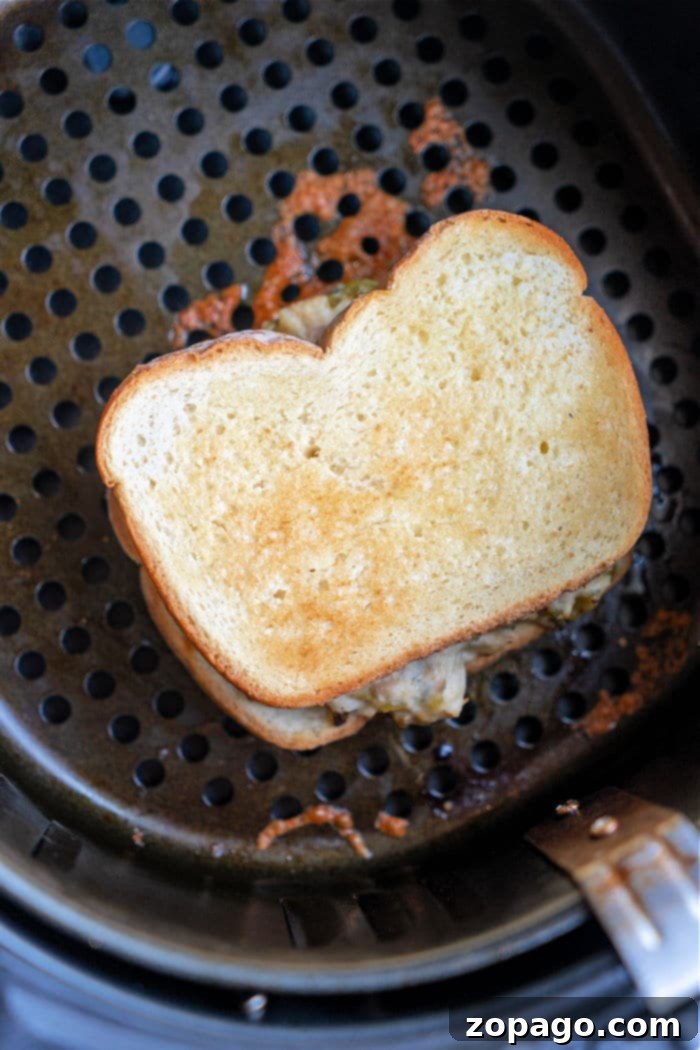 Ninja Air Fryer Tuna Melt in Action Ninja Air Fryer Tuna Melt