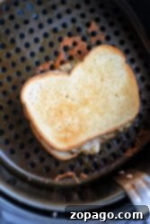 A toasted tuna melt sits inside an air fryer basket. The bread is golden brown, with melted cheese oozing around the edges. The perforated surface below is part of the air fryer.