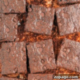 Flaxseed Meal Magic in Your Kitchen 8 Top view of sliced chocolate brownies with chocolate chips on top, offering a delightful hint of what to make with flaxseed meal for an added nutritious twist, ensuring these egg-free and dairy-free brownies are visually appealing.