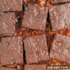 Top view of sliced chocolate brownies with chocolate chips on top, offering a delightful hint of what to make with flaxseed meal for an added nutritious twist.