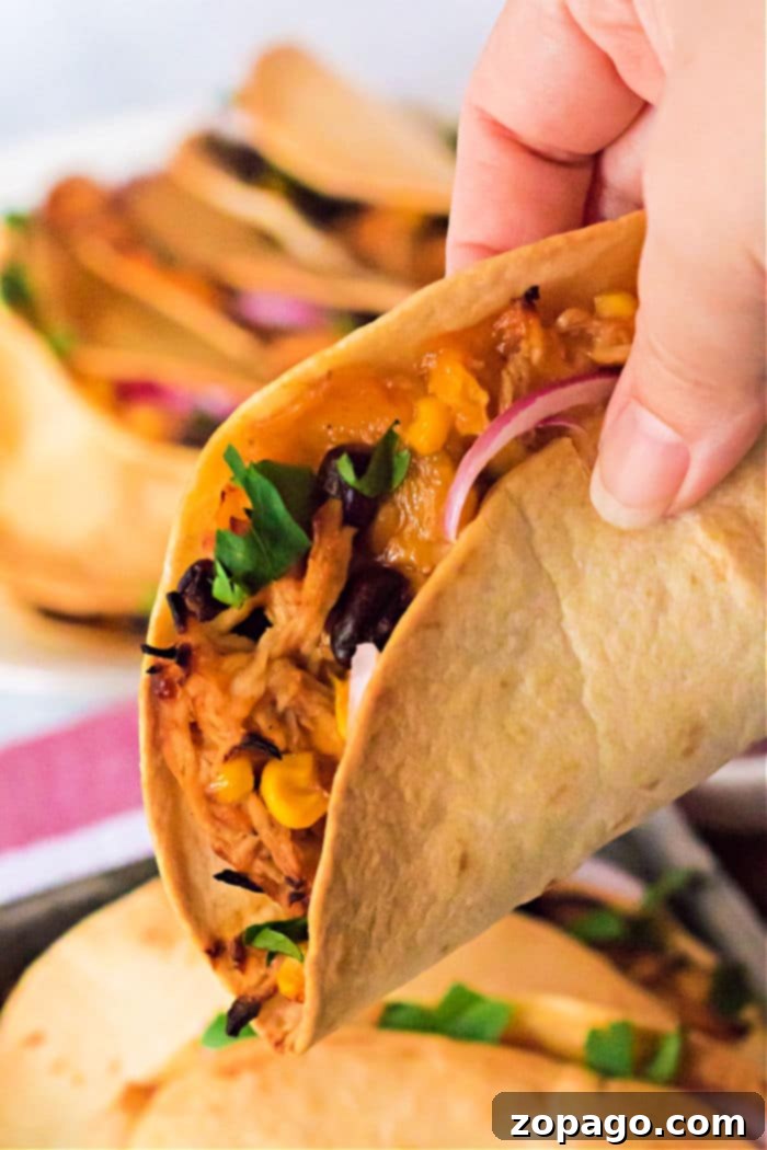 Crispy Air Fryer Tacos 8 Close-up of an air fryer taco, highlighting its crispy texture and delicious filling.