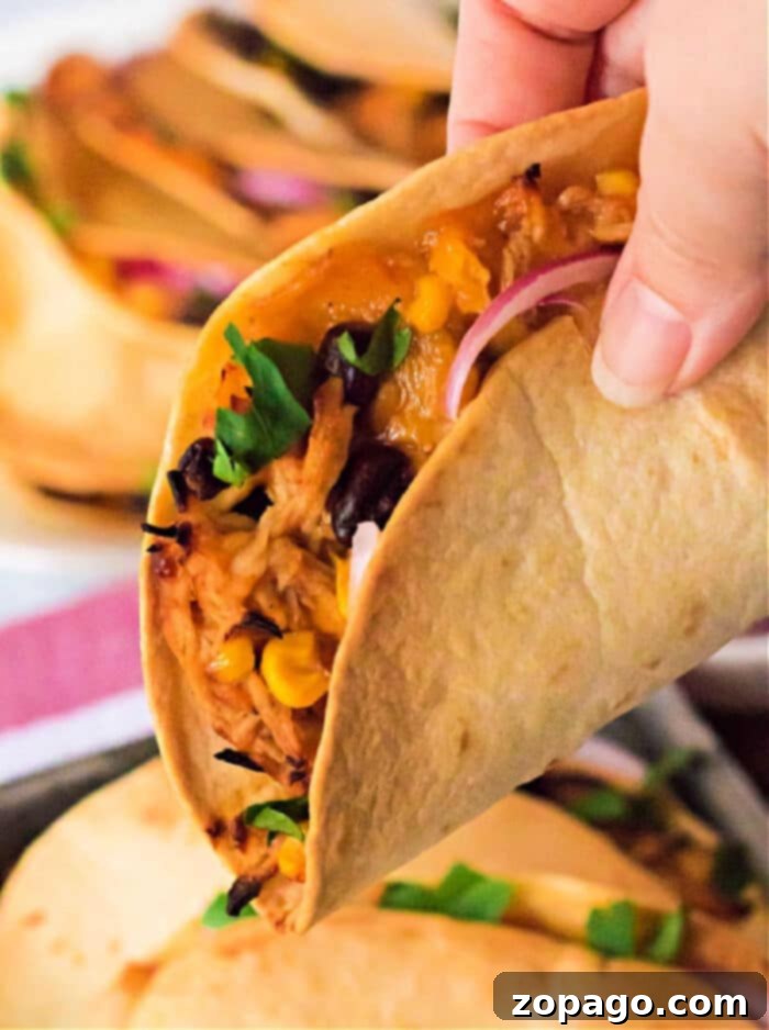Crispy Air Fryer Tacos 9 A perfectly cooked air fryer taco, showcasing its golden-brown exterior and savory filling.